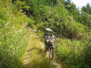 �r����(�R�������Q�W�O������H�F��)6-2�^ORR