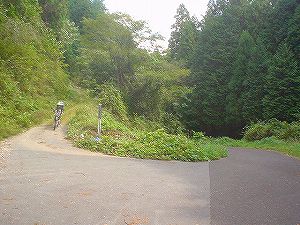 �r����(�R�������Q�W�O������H�F��)6-4�^ORR