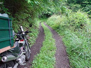 ����3�u�x�R���(109��)