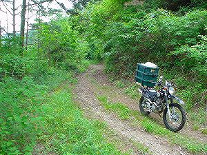 ����3�u�x�R���(109��)