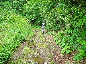 ����3�u�x�R���(109��)