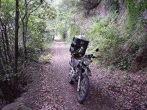 ����3�u�x�R���(109��)