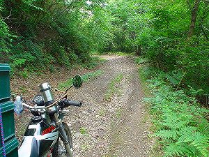 ����3�u�x�R���(109��)