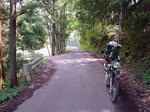 ����3�u�x�R���(109��)