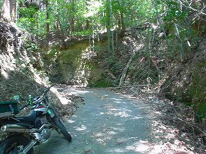 �啪�����V�P�T���ؓc�_���1-4�^ORR