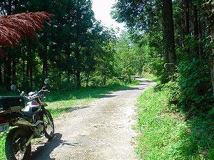 �啪�����V�P�T���ؓc�_���2-1�^ORR