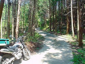 �啪�����V�P�T���ؓc�_���2-2�^ORR