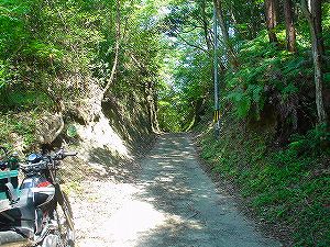 �啪�����V�P�T���ؓc�_���2-3�^ORR