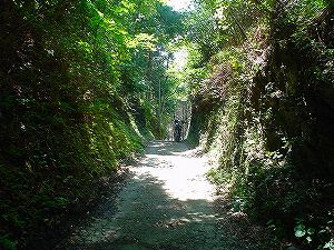 �啪�����V�P�T���ؓc�_���2-4�^ORR