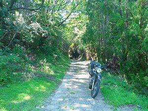 �啪�����V�P�T���ؓc�_���2-5�^ORR