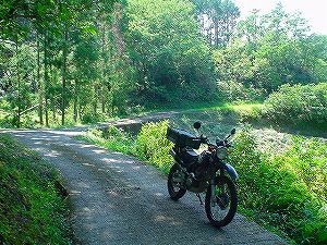 �啪�����V�P�T���ؓc�_���2-7�^ORR