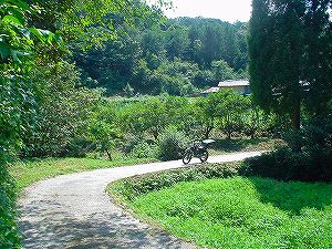 �啪�����V�P�T���ؓc�_���3-1�^ORR