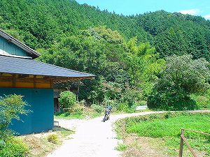 �啪�����V�P�T���ؓc�_���3-3�^ORR