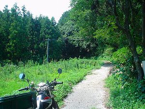 �啪�����V�P�T���ؓc�_���3-6�^ORR