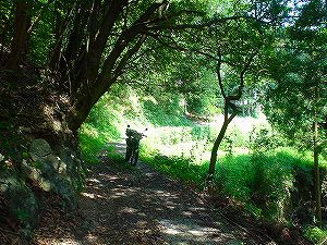 �啪�����V�P�T���ؓc�_���3-7�^ORR