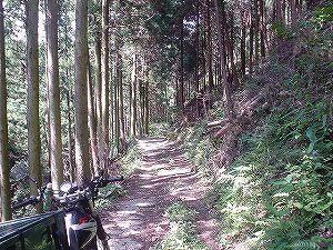 �啪�����V�P�T���ؓc�_���4-1�^ORR