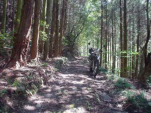 �啪�����V�P�T���ؓc�_���4-2�^ORR