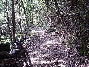 �啪�����V�P�T���ؓc�_���4-3�^ORR