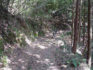 �啪�����V�P�T���ؓc�_���4-4�^ORR