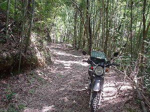 �啪�����V�P�T���ؓc�_���4-5�^ORR