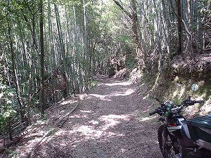 �啪�����V�P�T���ؓc�_���4-6�^ORR