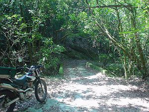 �啪�����V�P�T���ؓc�_���4-7�^ORR