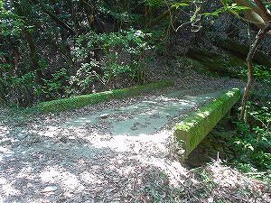 �啪�����V�P�T���ؓc�_���5-1�^ORR