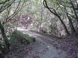 �啪�����V�P�T���ؓc�_���5-2�^ORR