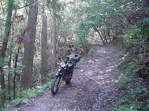 �啪�����V�P�T���ؓc�_���5-3�^ORR