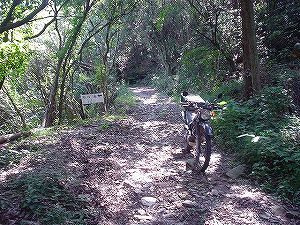 �啪�����V�P�T���ؓc�_���5-4�^ORR