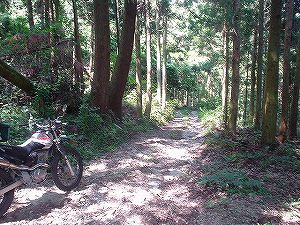 �啪�����V�P�T���ؓc�_���5-6�^ORR