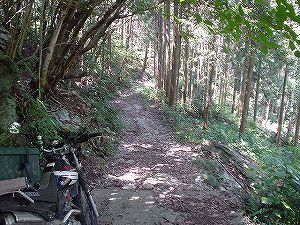 �啪�����V�P�T���ؓc�_���5-7�^ORR