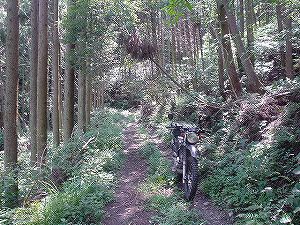 �啪�����V�P�T���ؓc�_���6-1�^ORR