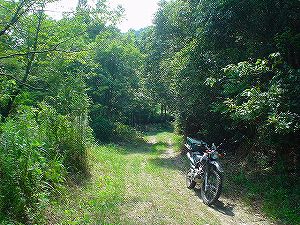 �啪�����V�P�T���ؓc�_���6-3�^ORR