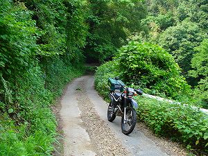 �A�N�^�_��(�啪�����S�P���啪����)1-5�^ORR