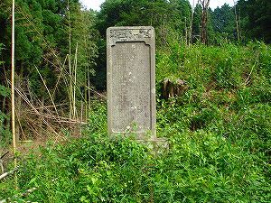 �A�N�^�_��(�啪�����S�P���啪����)2-2�^ORR