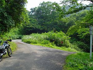 �A�N�^�_��(�啪�����S�P���啪����)2-5�^ORR