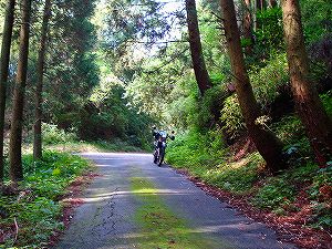 �A�N�^�_��(�啪�����S�P���啪����)2-7�^ORR