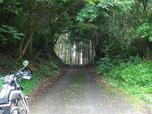 �A�N�^�_��(�啪�����S�P���啪����)3-2�^ORR