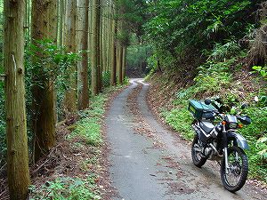 �A�N�^�_��(�啪�����S�P���啪����)4-1�^ORR