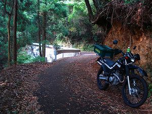 �A�N�^�_��(�啪�����S�P���啪����)4-2�^ORR