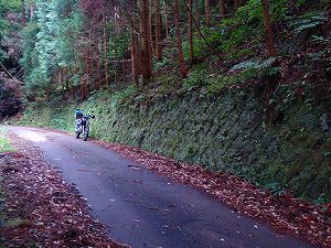 �A�N�^�_��(�啪�����S�P���啪����)4-3�^ORR