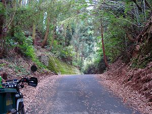 �A�N�^�_��(�啪�����S�P���啪����)5-3�^ORR