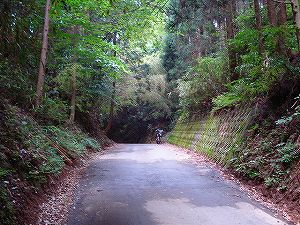 �A�N�^�_��(�啪�����S�P���啪����)5-4�^ORR