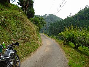 �A�N�^�_��(�啪�����S�P���啪����)5-5�^ORR