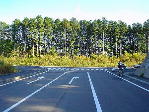 ���������R�W�O���x�����ʐ�1