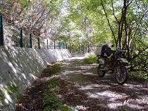 ���������R�W�O���x�����ʐ�4