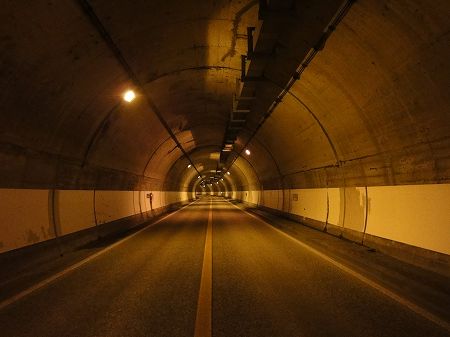 �����g���l������