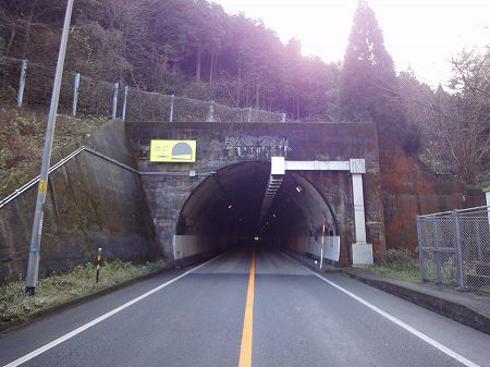 �����g���l�����挧���B��