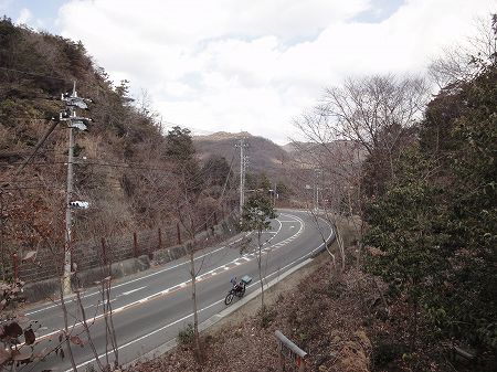 �T�������T